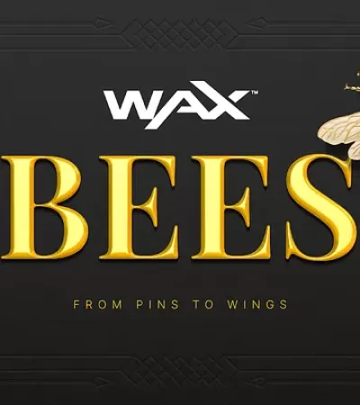 من الإبر إلى الأجنحة: حدث صناعة النحل بـ WAX!